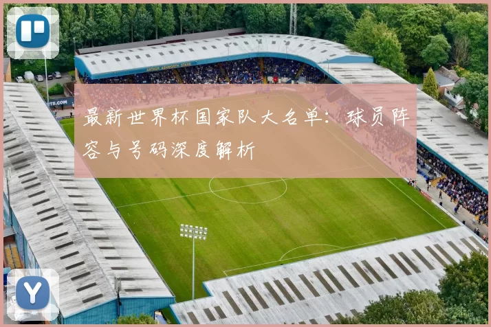 最新世界杯国家队大名单：球员阵容与号码深度解析
