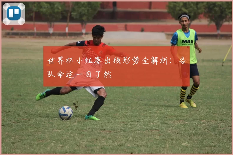 世界杯小组赛出线形势全解析:各队命运一目了然