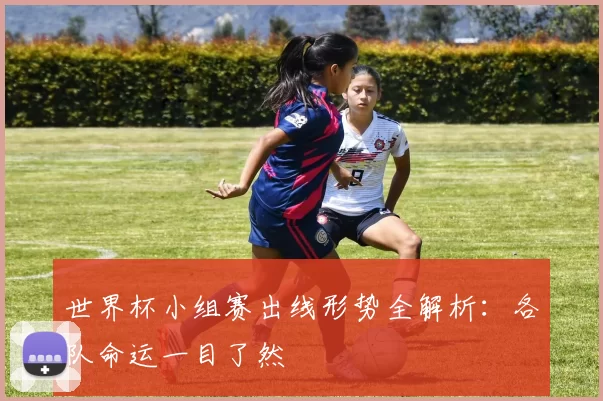 世界杯小组赛出线形势全解析：各队命运一目了然