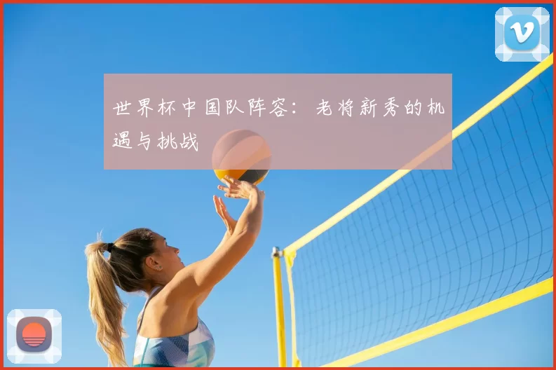 世界杯中国队阵容：老将新秀的机遇与挑战