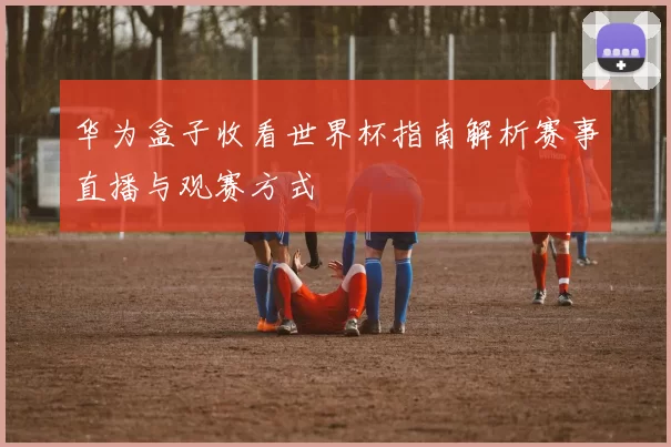 华为盒子收看世界杯指南解析赛事直播与观赛方式