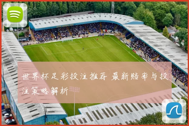 世界杯足彩投注推荐 最新赔率与投注策略解析