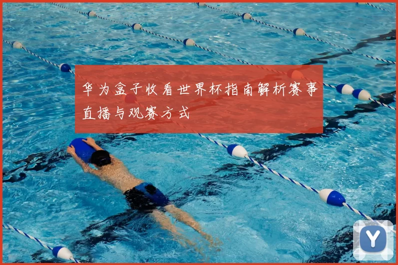 华为盒子收看世界杯指南解析赛事直播与观赛方式