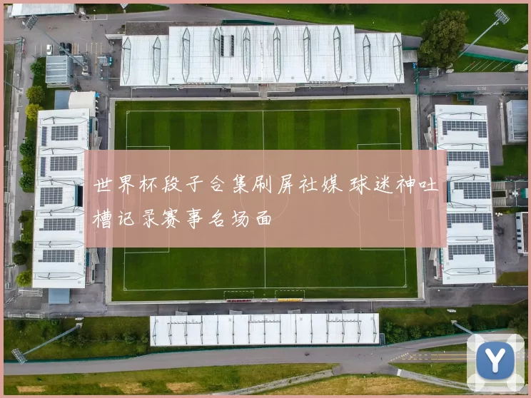 世界杯段子合集刷屏社媒 球迷神吐槽记录赛事名场面