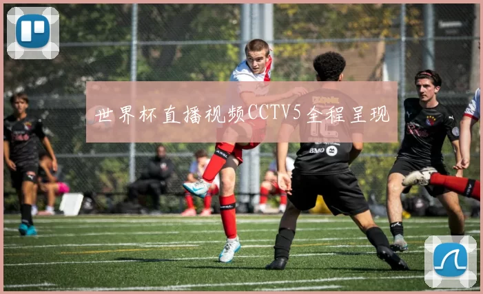 世界杯直播视频CCTV5全程呈现