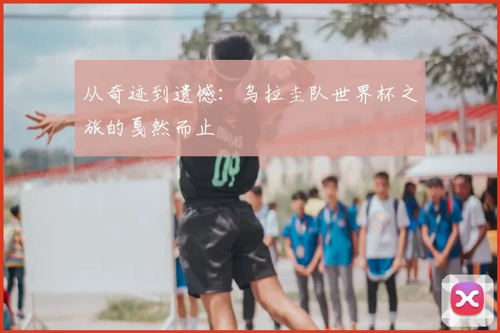 从奇迹到遗憾：乌拉圭队世界杯之旅的戛然而止