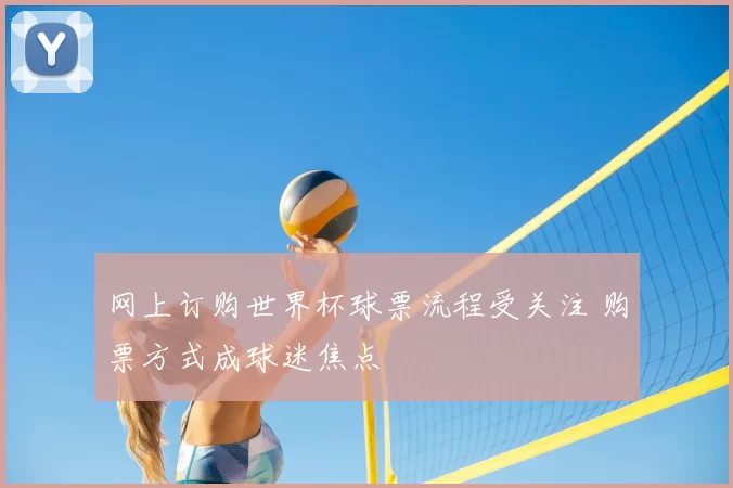 网上订购世界杯球票流程受关注 购票方式成球迷焦点