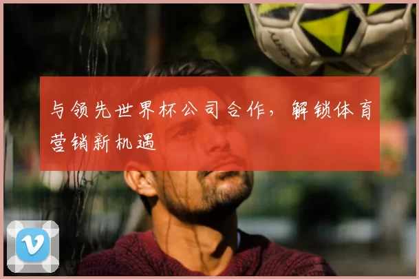 与领先世界杯公司合作,解锁体育营销新机遇
