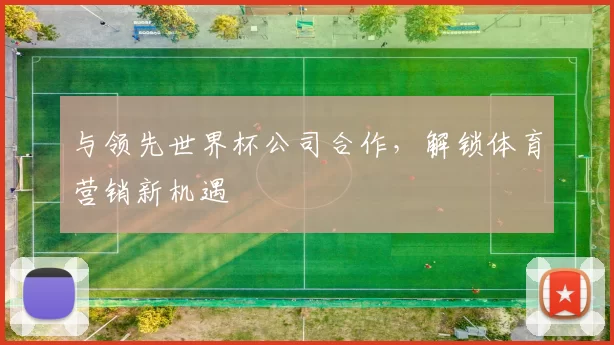 与领先世界杯公司合作，解锁体育营销新机遇